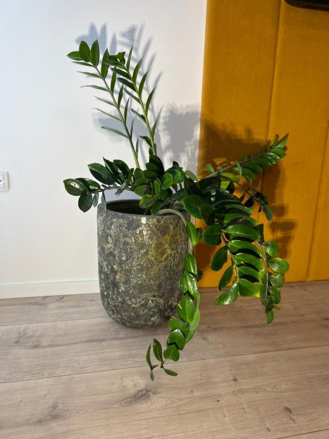 Sofia Apartment & Zimmer Sillweg Naehe Rebull Ring Фонсдорф Экстерьер фото