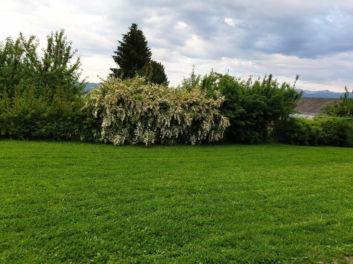 Sofia Apartment & Zimmer Sillweg Naehe Rebull Ring Фонсдорф Экстерьер фото